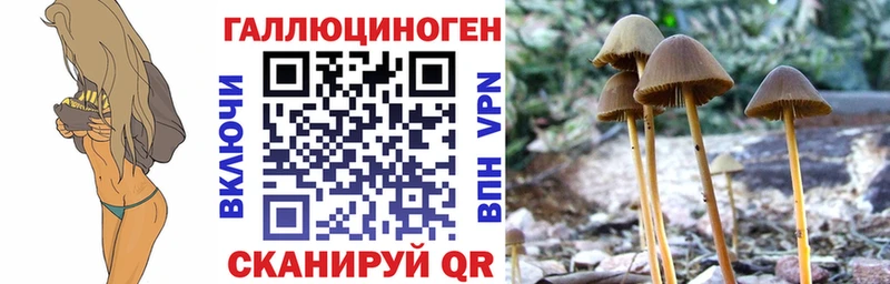 Галлюциногенные грибы мухоморы  МЕГА как войти  Хабаровск 